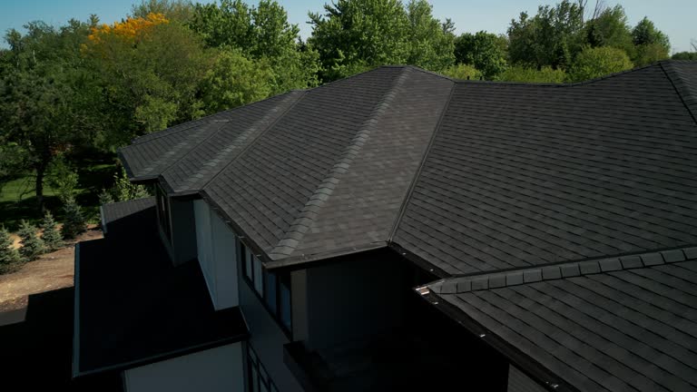 Best Roof Restoration  in Niles, OH